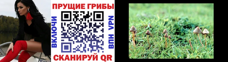 Галлюциногенные грибы GOLDEN TEACHER  Семилуки 